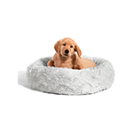 Pet Bed and Accessories